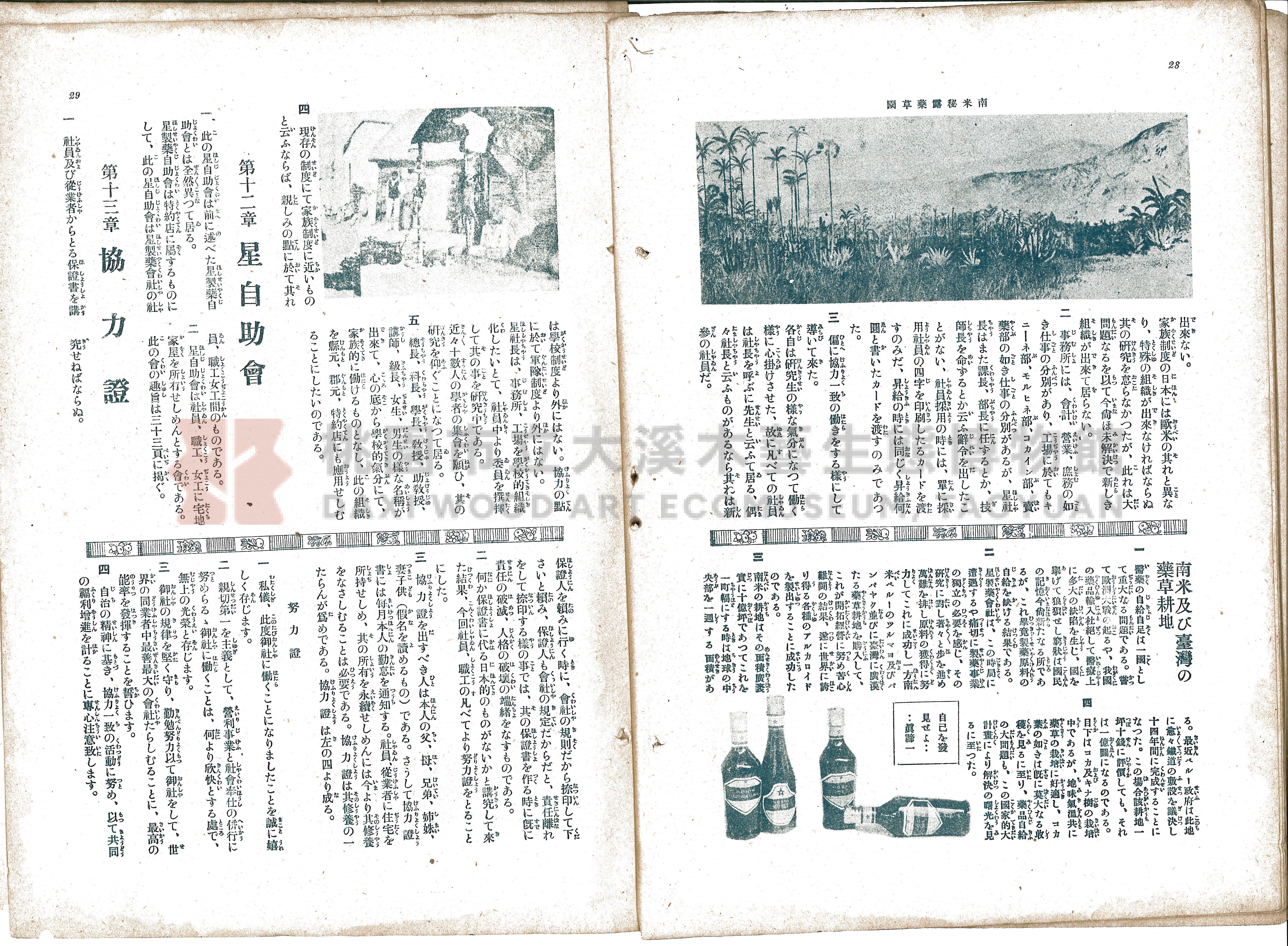 星製藥介紹手冊主題的圖片縮圖第15張